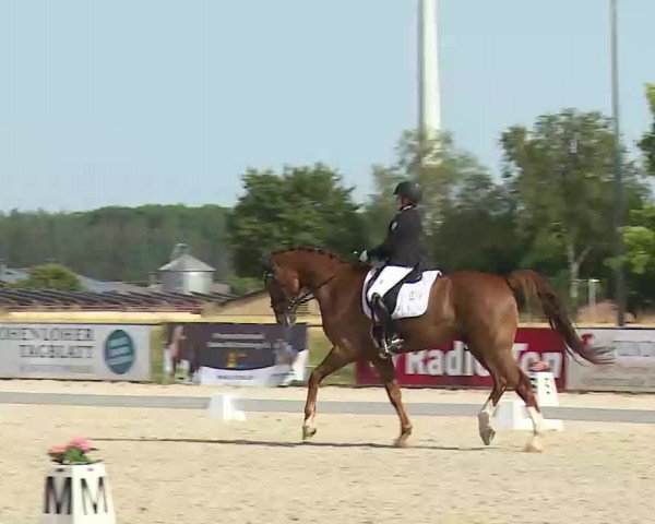 Reitturnier Rot am See- Musdorf 2022