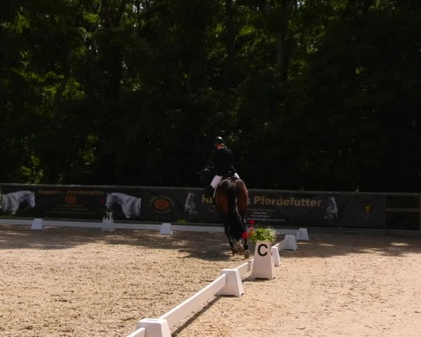 Reitturnier Ruhlsdorf 2022