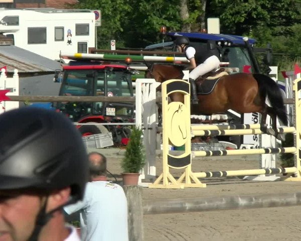 Reitturnier Sand-Schönbühl 2022