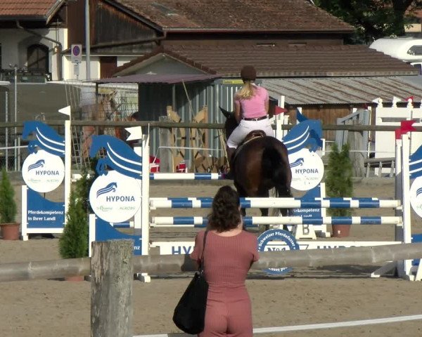 Reitturnier Sand-Schönbühl 2022