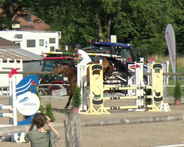 Reitturnier Sand-Schönbühl 2022