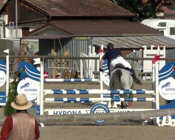 Reitturnier Sand-Schönbühl 2022