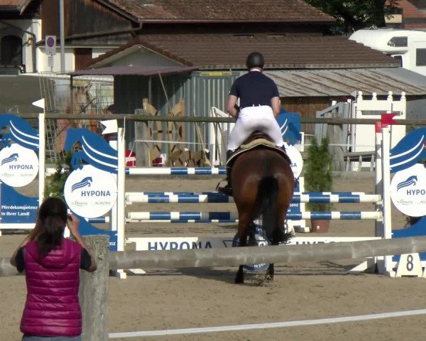 Reitturnier Sand-Schönbühl 2022