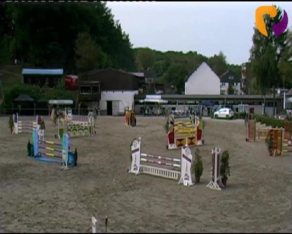 jumper Lumexx (Oldenburg show jumper, 2006, from Ludwig von Bayern 168 FIN)
