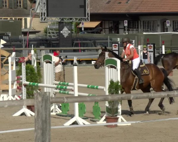 Reitturnier Sand-Schönbühl 2022