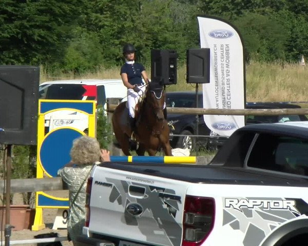 Reitturnier Sand-Schönbühl 2022