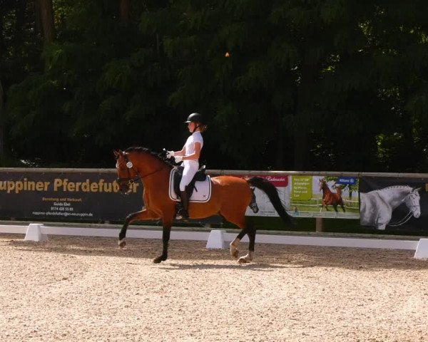 Reitturnier Ruhlsdorf 2022