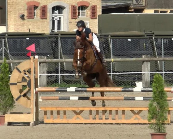 Reitturnier Sand-Schönbühl 2022