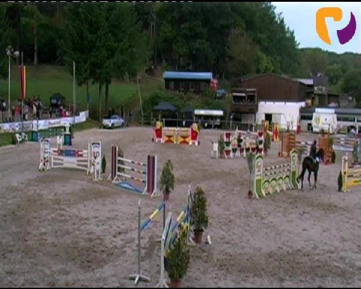 horse Chenaika (Hessian Warmblood, 2004, from Cheenook)