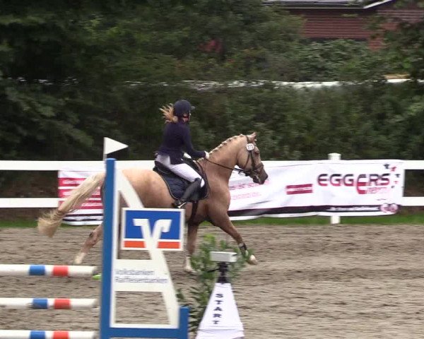 Springturnier Mildstedt 2021
