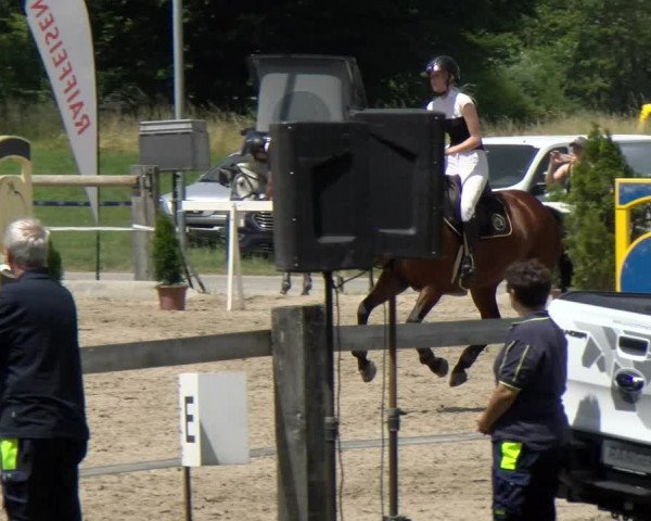 Reitturnier Sand-Schönbühl 2022