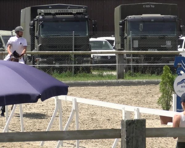 Reitturnier Sand-Schönbühl 2022