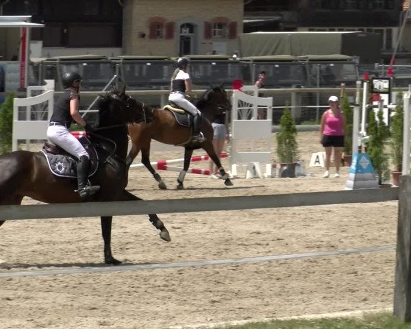 Reitturnier Sand-Schönbühl 2022
