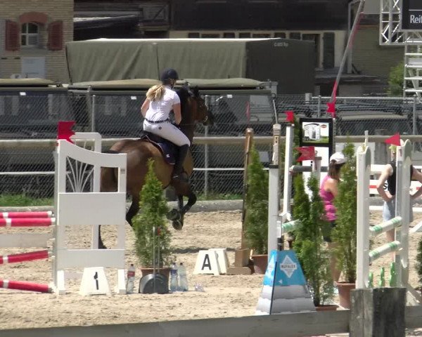 Reitturnier Sand-Schönbühl 2022