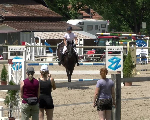 Reitturnier Sand-Schönbühl 2022
