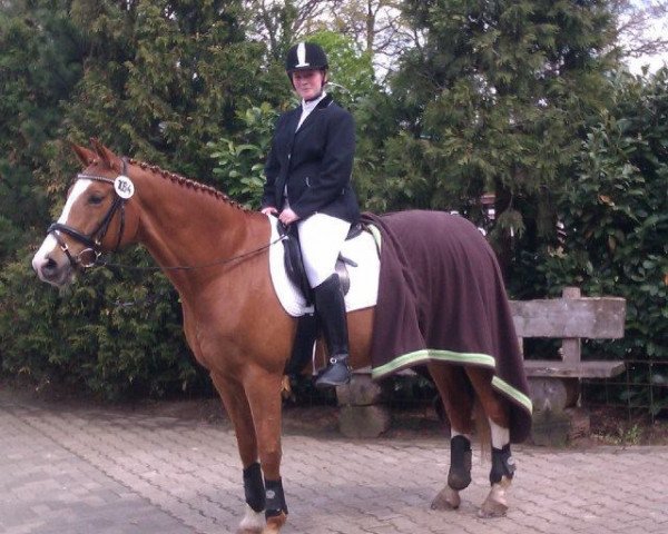 Dressurpferd Saint Moritz (Westfale, 1998, von Saint Tropez)