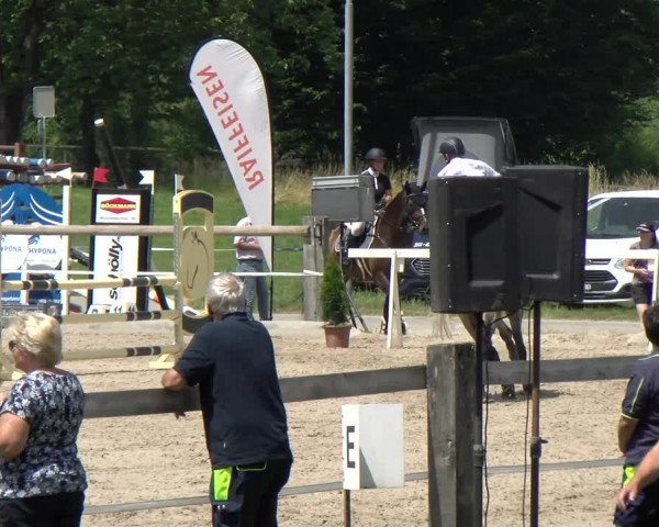 Reitturnier Sand-Schönbühl 2022