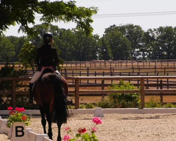 Reitturnier Ruhlsdorf 2022