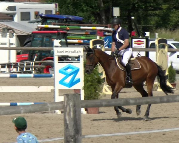 Reitturnier Sand-Schönbühl 2022