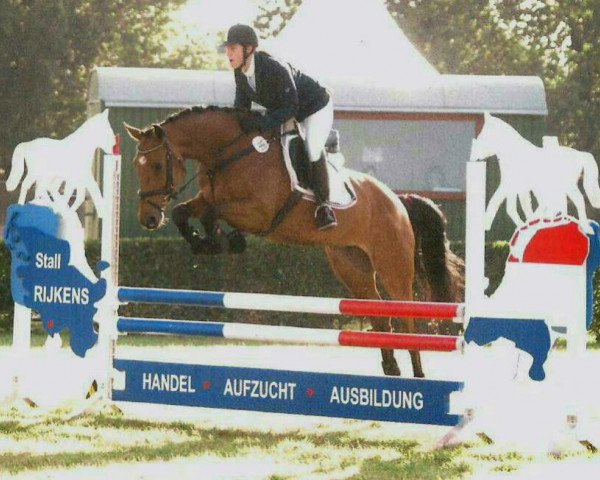 broodmare Zuckerschnut T (Holsteiner, 2007, from Lancer II)