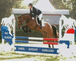 broodmare Zuckerschnut T (Holsteiner, 2007, from Lancer II)