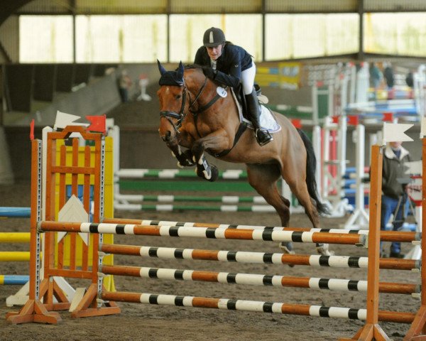 jumper Chelando T (Holsteiner, 2008, from Ab 19 Chepetto)