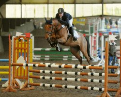 jumper Chelando T (Holsteiner, 2008, from Ab 19 Chepetto)