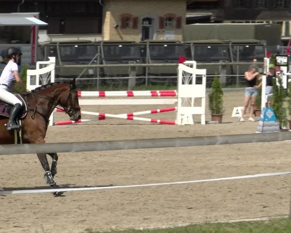 Reitturnier Sand-Schönbühl 2022