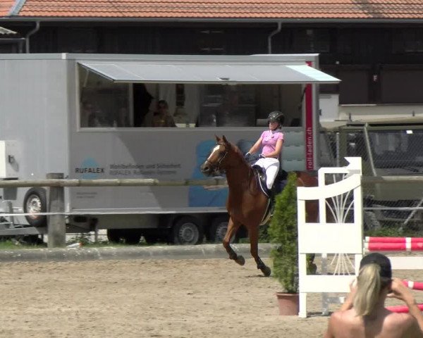 Reitturnier Sand-Schönbühl 2022