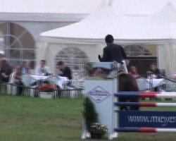 jumper Lilly-Lucia (German Warmblood, 2003, from Lieber Boy)
