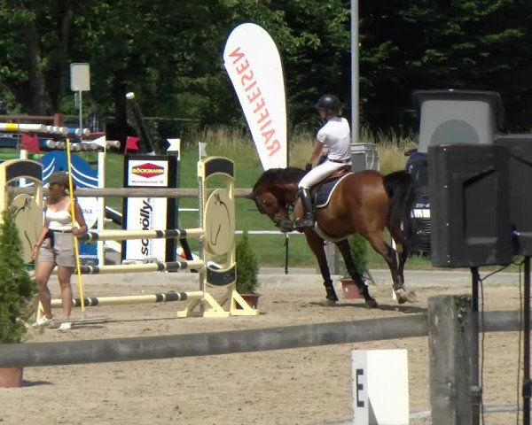 Reitturnier Sand-Schönbühl 2022