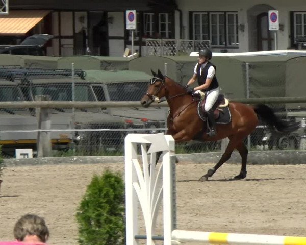 Reitturnier Sand-Schönbühl 2022