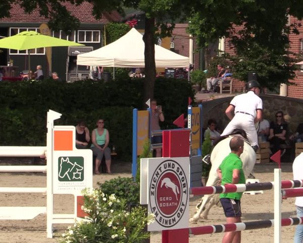 Reitturnier Lemwerder 2022