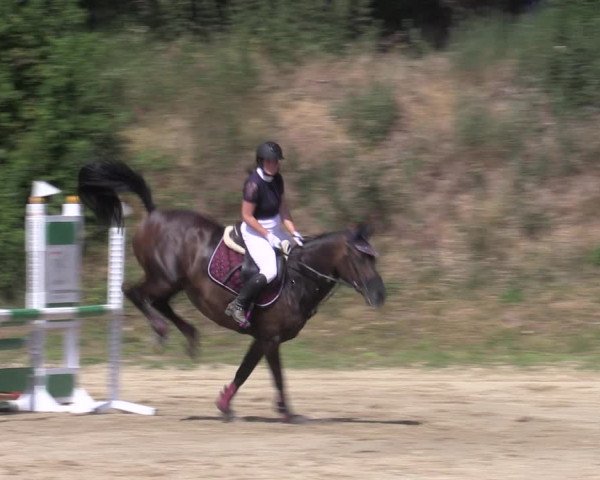 Reitturnier Angermünde/Pinnow 2022