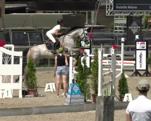 Reitturnier Sand-Schönbühl 2022