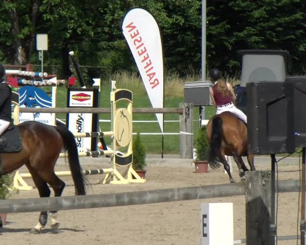 Reitturnier Sand-Schönbühl 2022
