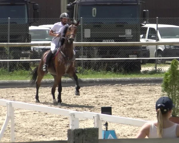 Reitturnier Sand-Schönbühl 2022