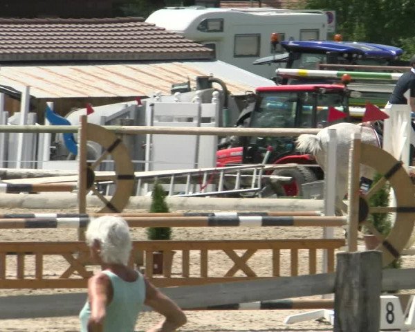 Reitturnier Sand-Schönbühl 2022