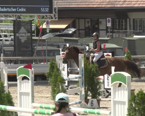 Reitturnier Sand-Schönbühl 2022
