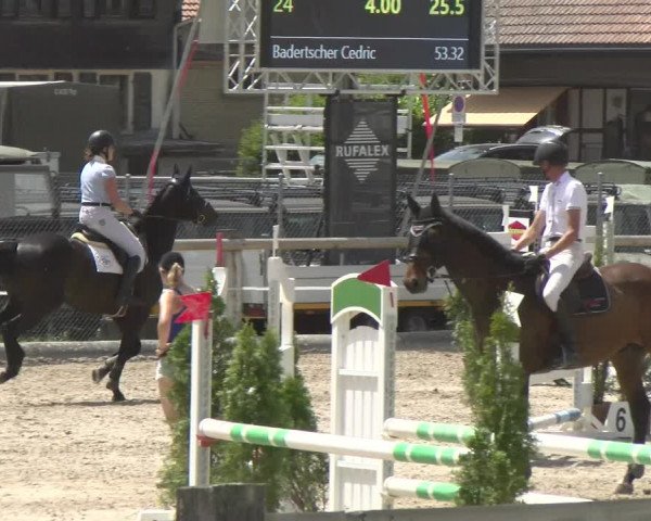 Reitturnier Sand-Schönbühl 2022