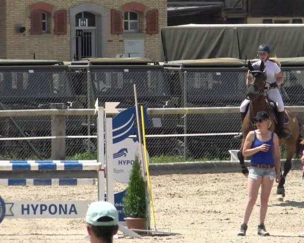 Reitturnier Sand-Schönbühl 2022