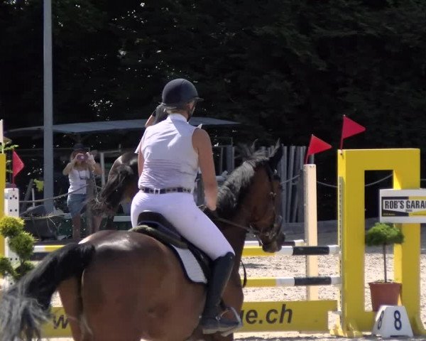 Reitturnier Meilen, Pfannenstiel 2022