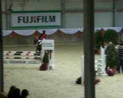 jumper Kantje's Brenno (New Forest Pony, 1996, from Kantje's Ronaldo)