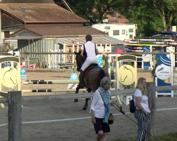 Reitturnier Sand-Schönbühl 2022