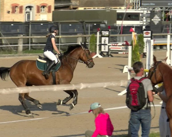 Reitturnier Sand-Schönbühl 2022