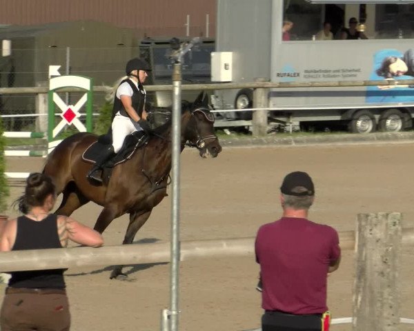 Reitturnier Sand-Schönbühl 2022