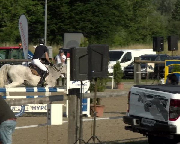 Reitturnier Sand-Schönbühl 2022