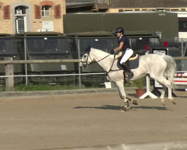 Reitturnier Sand-Schönbühl 2022