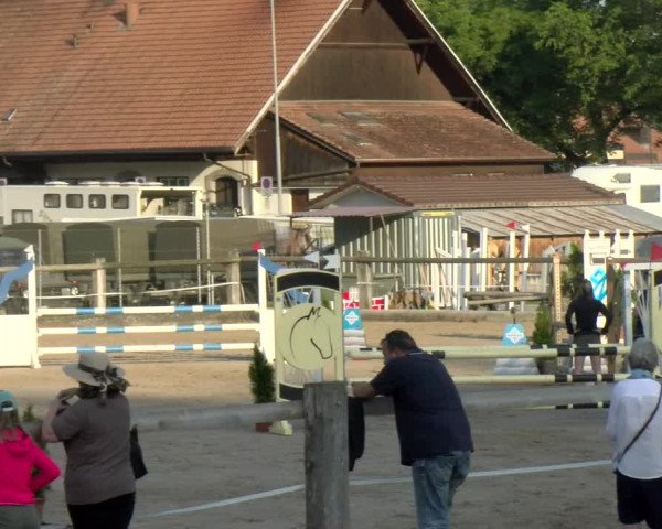 Reitturnier Sand-Schönbühl 2022