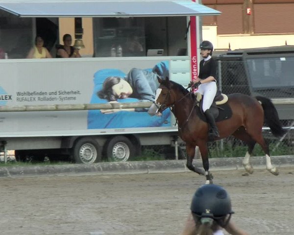 Reitturnier Sand-Schönbühl 2022